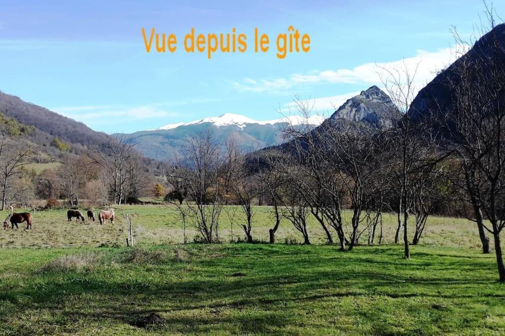Grange En Pierres. Grand Jardin Et Belle Vue Villa Saurat Exterior photo