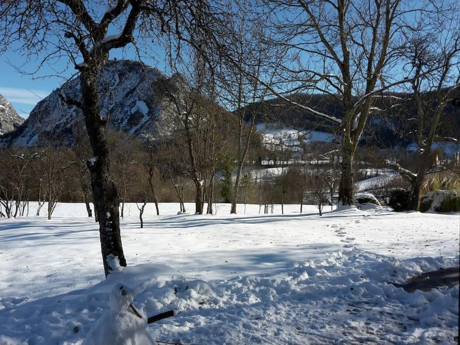 Grange En Pierres. Grand Jardin Et Belle Vue Villa Saurat Exterior photo